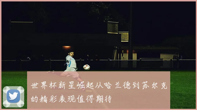 世界杯新星崛起从哈兰德到苏尔克的精彩表现值得期待