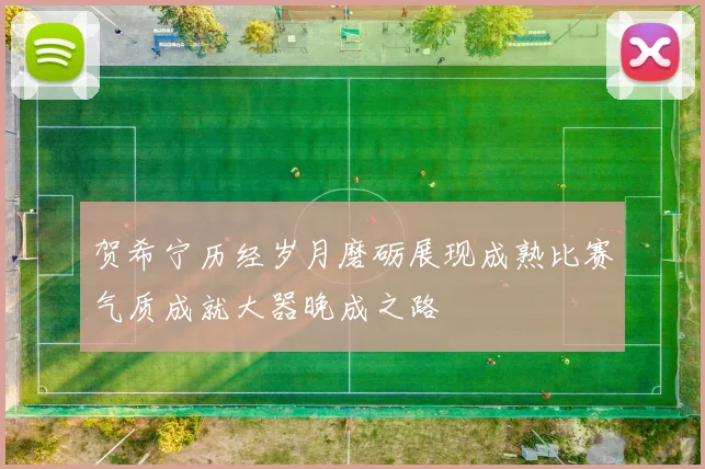 贺希宁历经岁月磨砺展现成熟比赛气质成就大器晚成之路