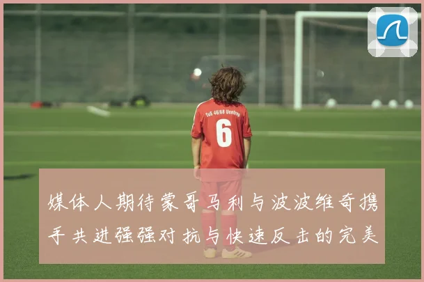 媒体人期待蒙哥马利与波波维奇携手共进强强对抗与快速反击的完美结合